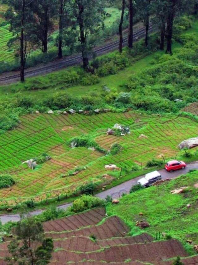 Ooty: The Enchanting Hill Station of Southern India