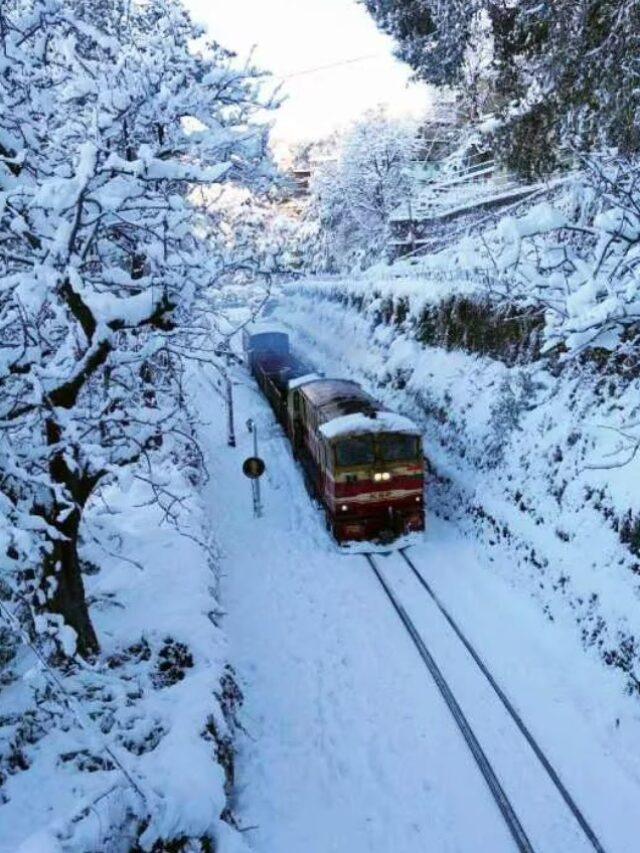 Shimla’s Winter Magic: Snow, Sights, and Serenity